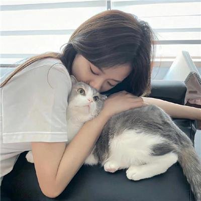 地下室的7人